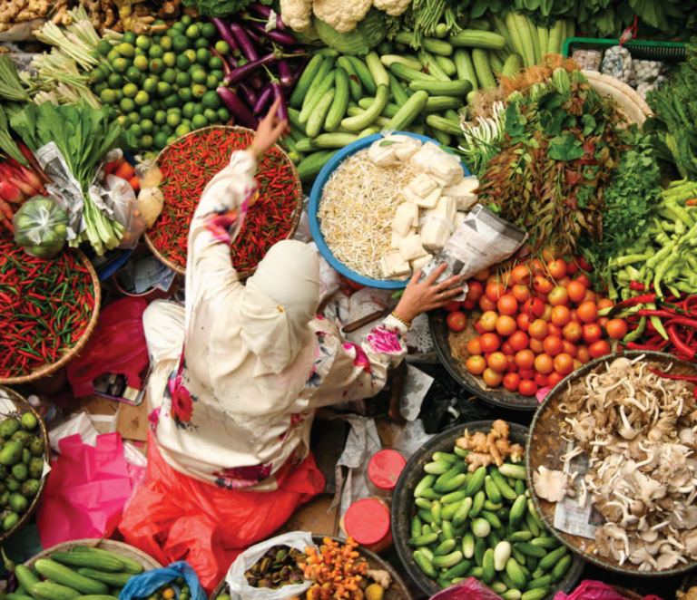 Healthy and Sustainable Diets