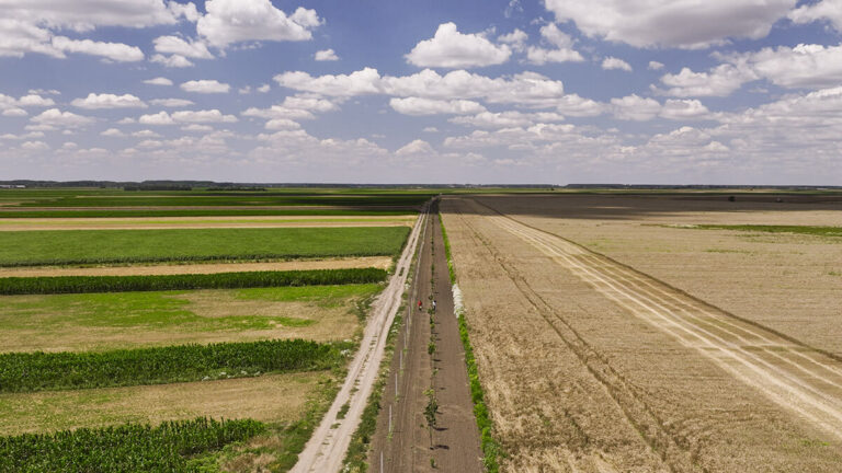 How Do Buffer Zones Protect Organic Food?