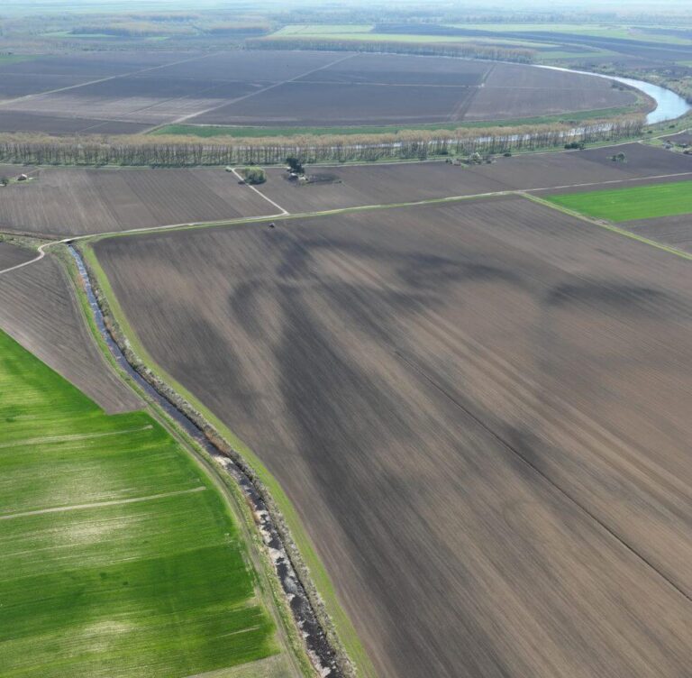 Only Healthy Soils Can Provide Healthy Food
