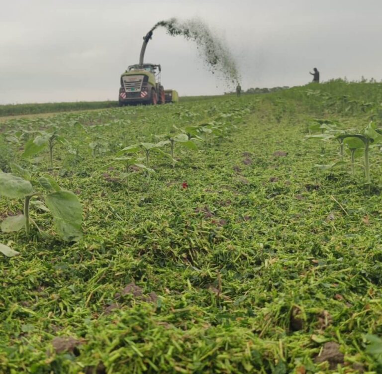 The End of Food or the Beginning of Sustainable Agriculture?