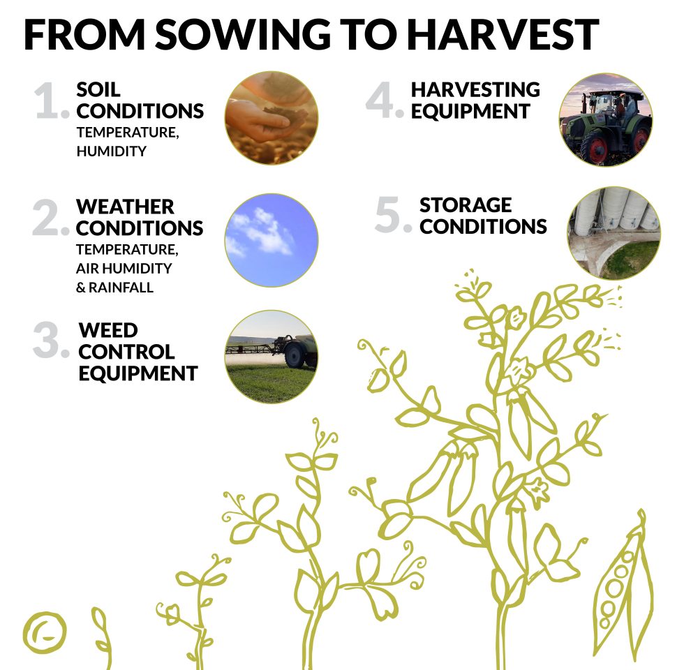from sowing to harvest