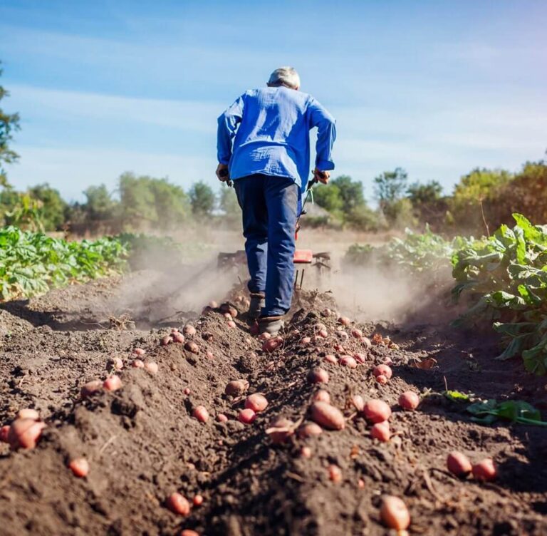 How Food Production Transformed Our Way of Life (and our planet as well)