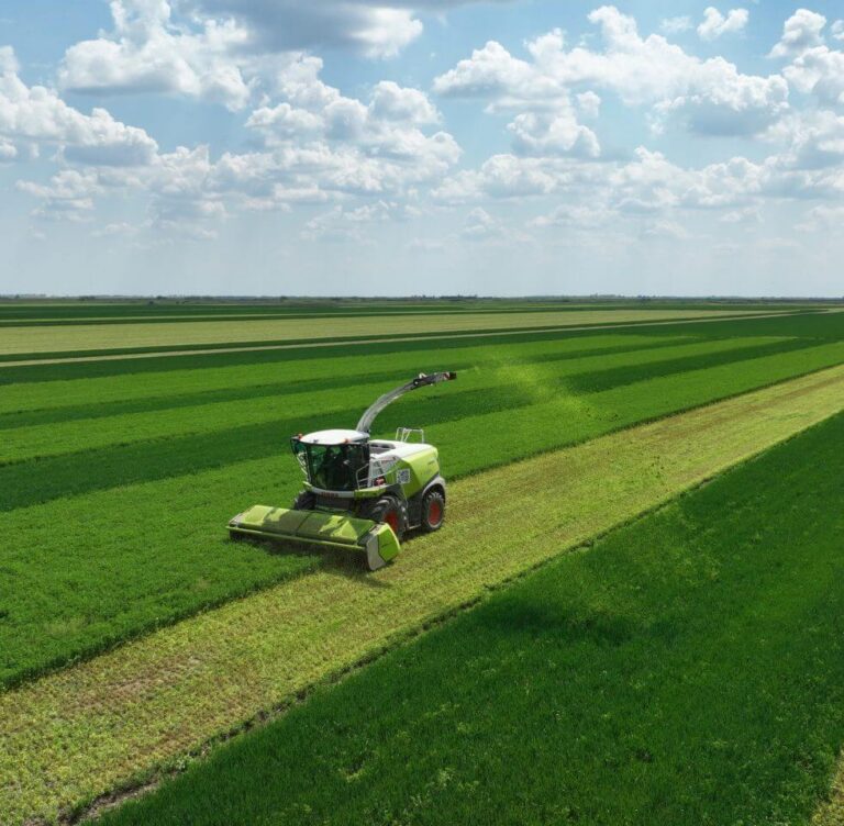 Why are organic fertilizers so important?