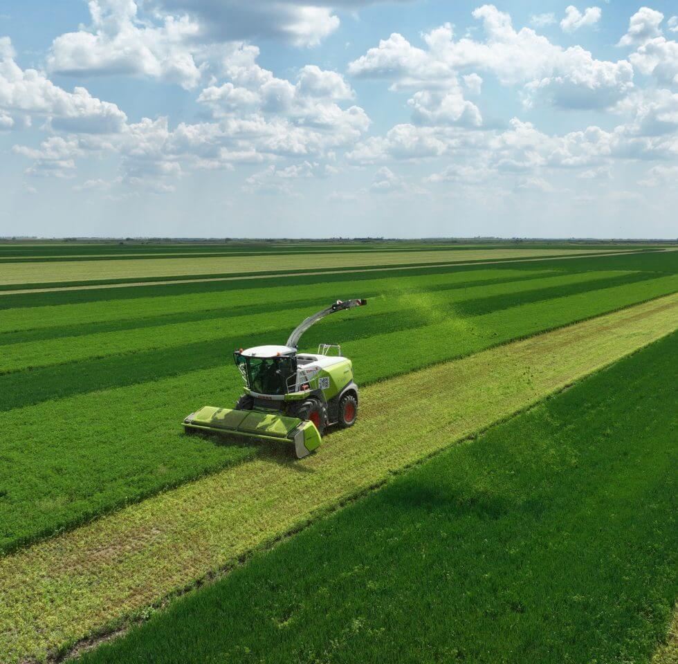Why are organic fertilizers so important?