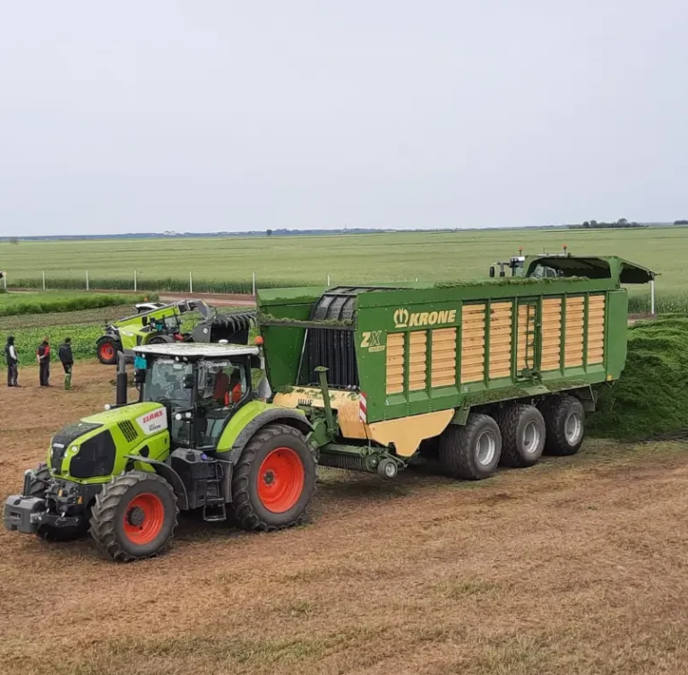 How Do We Improve Soil Fertility with Green Manure Fertilizers?
