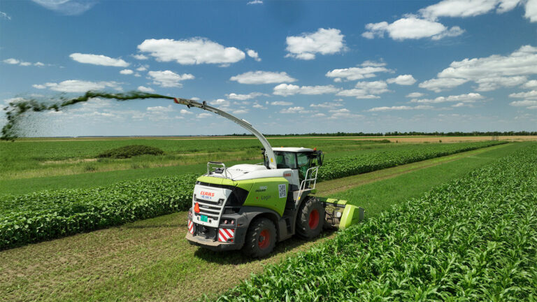 Green Manure Soil Nourishment for Sustainable Farming: Alfalfa Silage