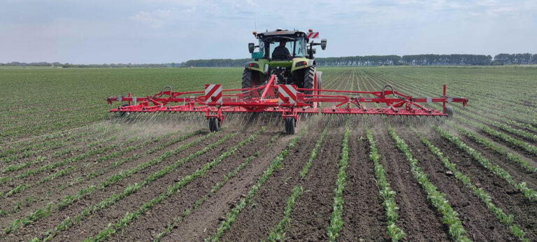 Optimizing Weed Control in Sustainable Organic Farming