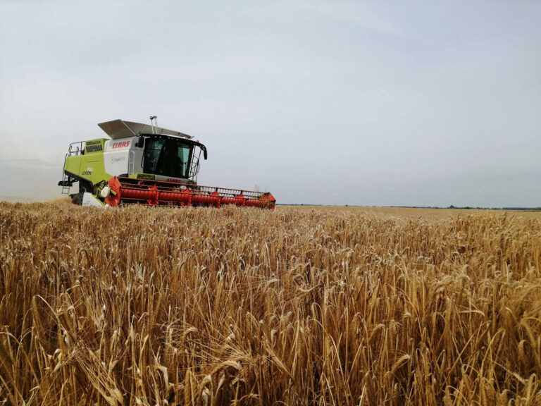 Harvest Season 2023: Kickoff with Organic Barley