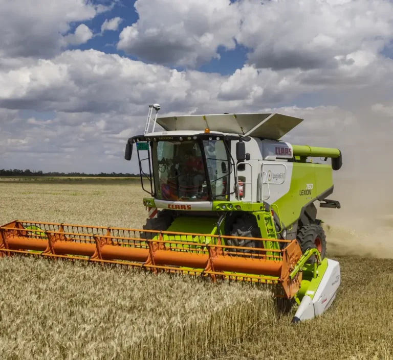 Celebrating Harvest Season with Our Distinctive Approach to Harvesting
