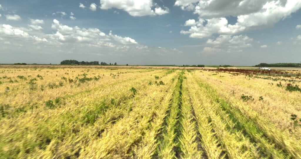 LoginEKO Renews Organic Standard