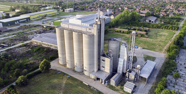 From Field to Table: The Success of Organic Oat Harvesting and Storage