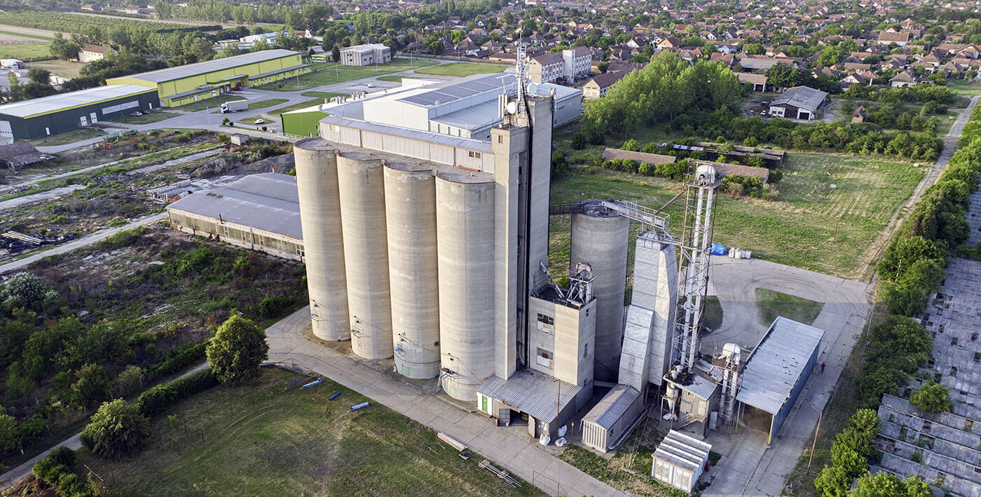 From Field to Table: The Success of Organic Oat Harvesting and Storage