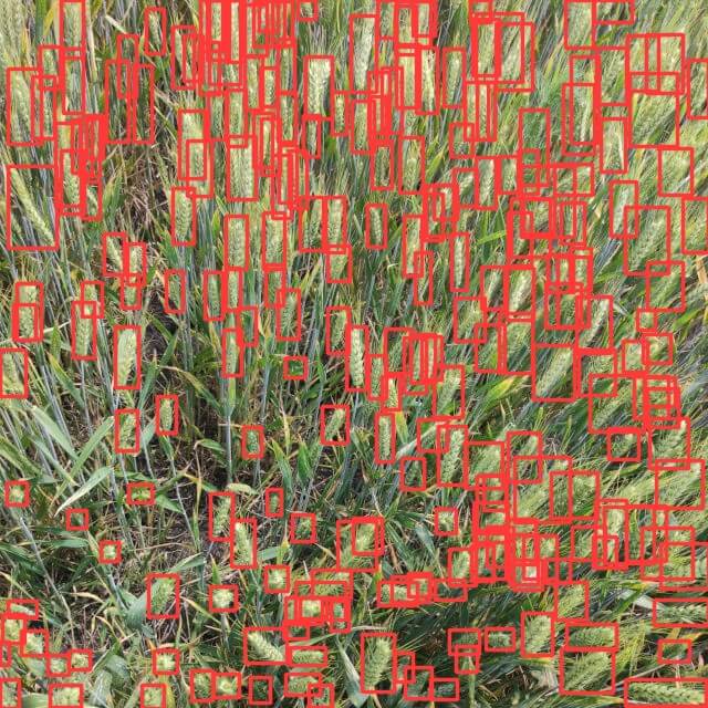 Pioneering Change in Agriculture: The Evolution of Wheat Ear Detection Through AI