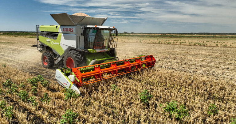 Legumes Cultivation Can Improve High and Stable Grain Yields