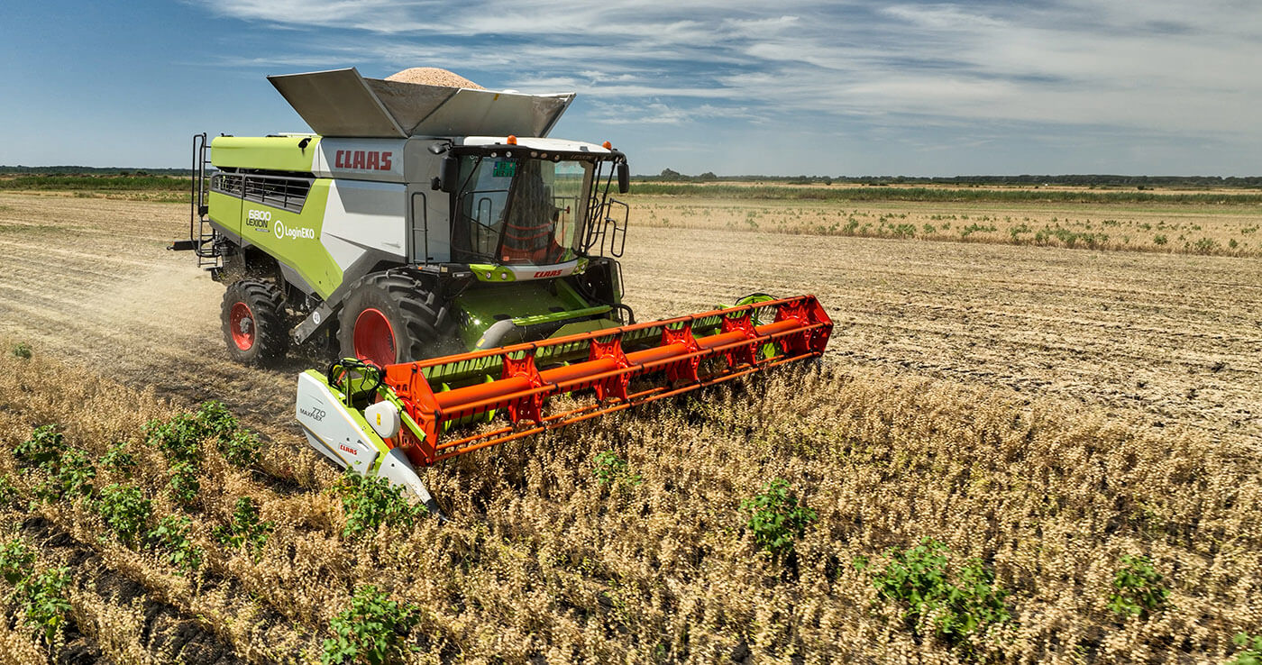 Legumes Cultivation Can Improve High and Stable Grain Yields