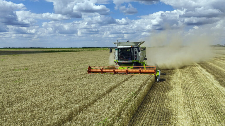 Elevating Harvesting Standards: Our Commitment to Sustainable and Organic Crop Production