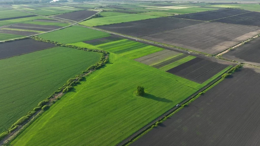 Photo of Ecological agricultural field, taken from the air in spring time, when everything is green, showcasing large-scale farming.