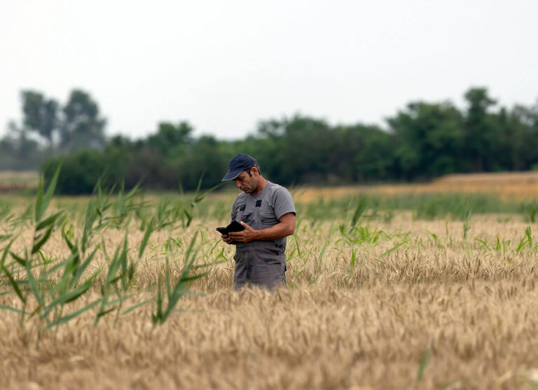 Closing the Research Gaps in Sustainable Farming