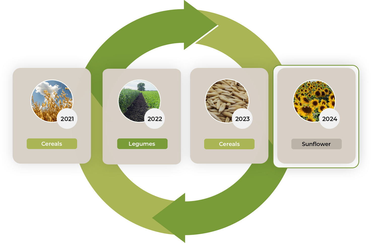 Overview of 4-year crop rotation