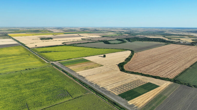LoginEKO Approach to Food System Transformation