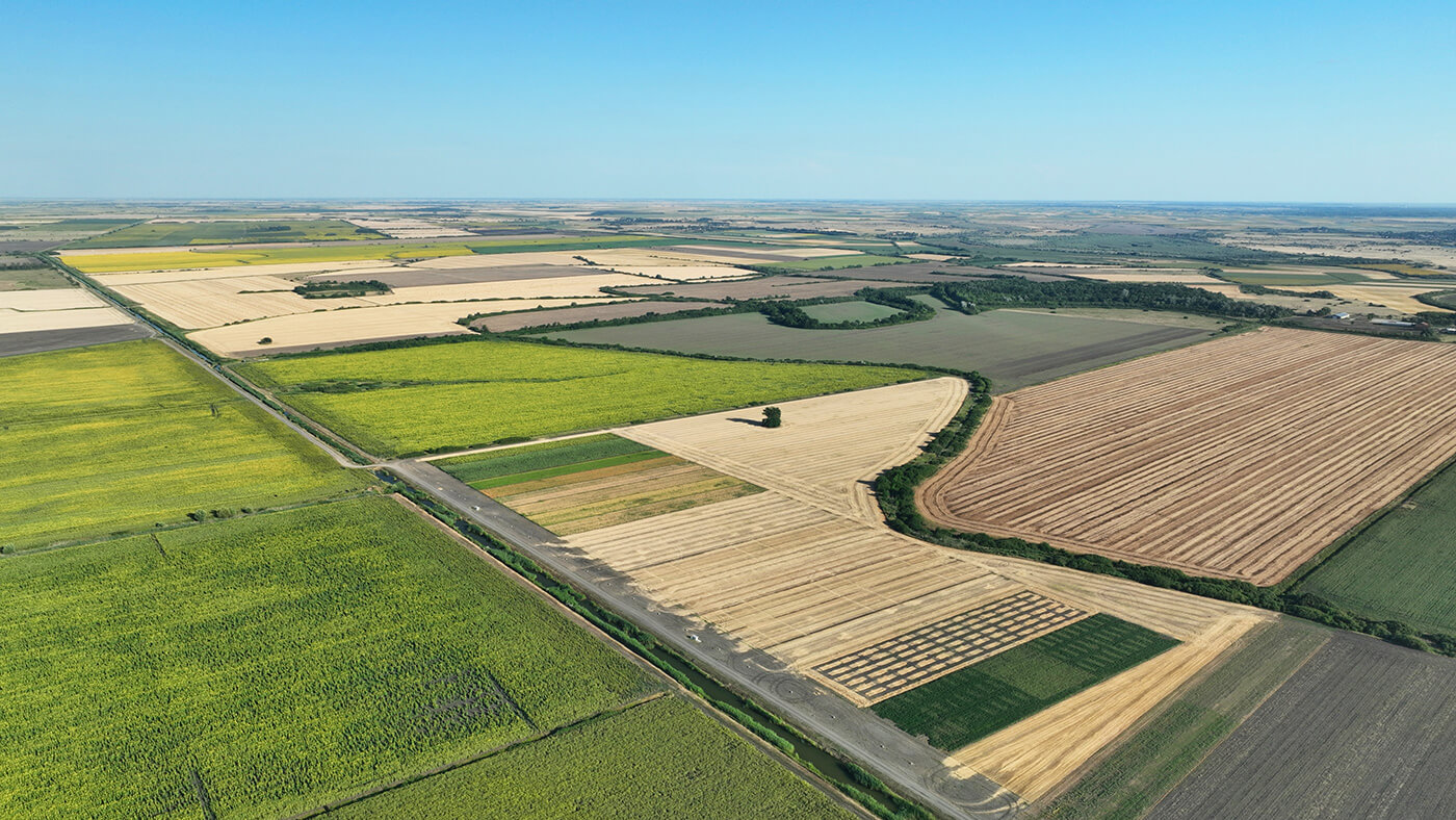 LoginEKO Approach to Food System Transformation