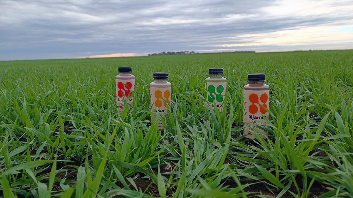 Back to the key ingredient. Njamito visits LoginEKO oat fields in Vojvodina, Serbia.