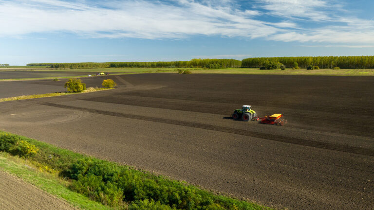 What is Crop Rotation and Why Do We Need It?