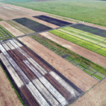What is complex crop rotation