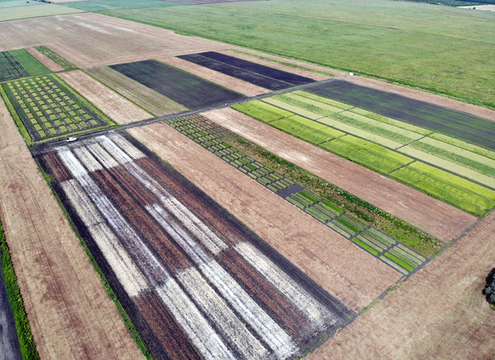 What is complex crop rotation