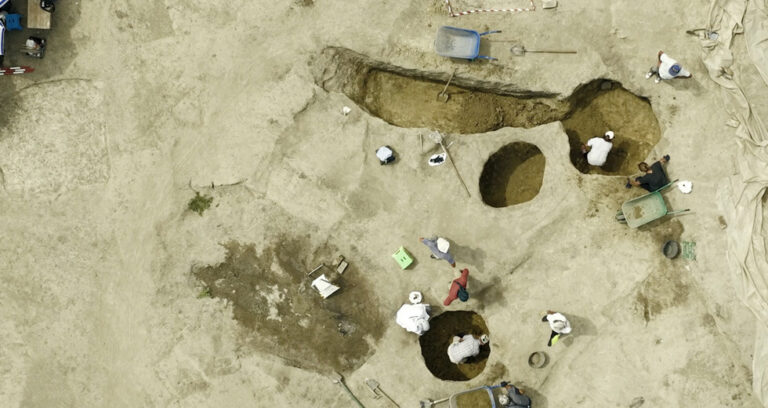 Archaeological Discoveries on LoginEKO’s Farm
