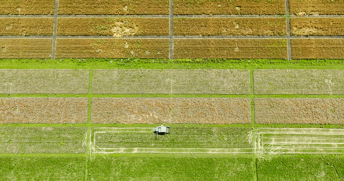 Climate change and agriculture 3