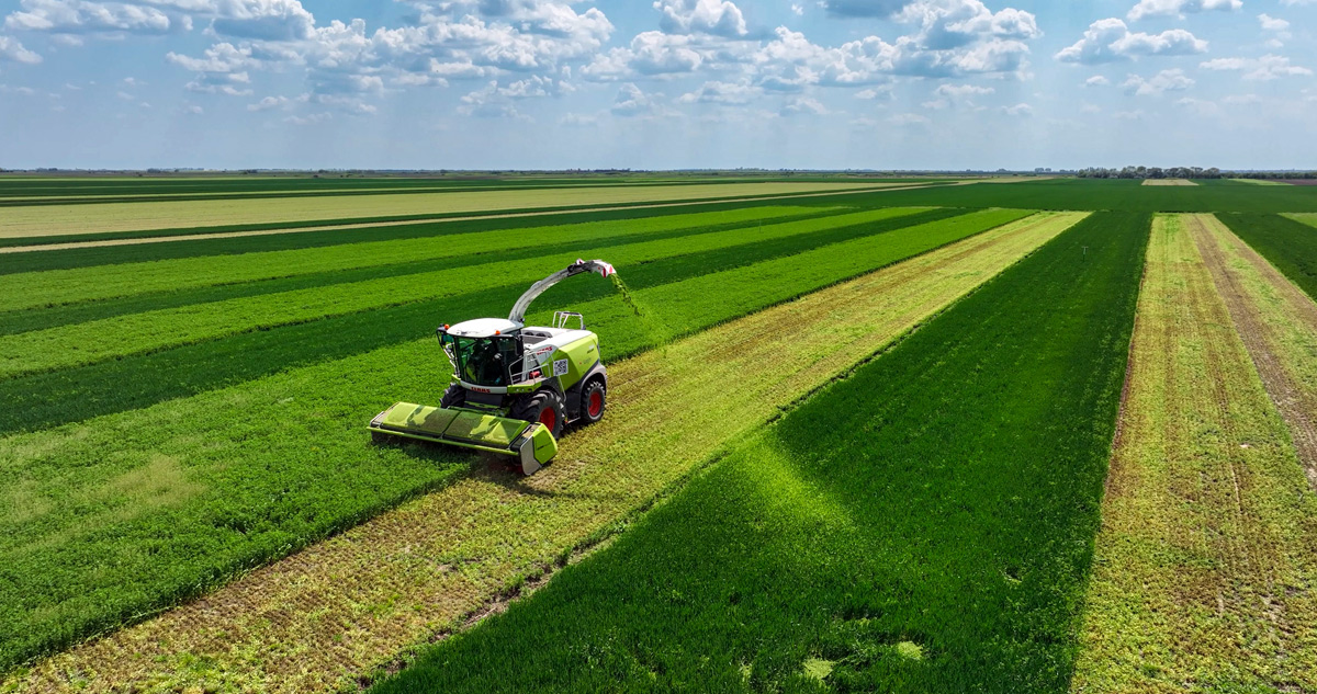 Strip cropping at LoginEKO