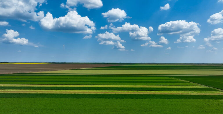 Development of Crop Rotation at LoginEKO