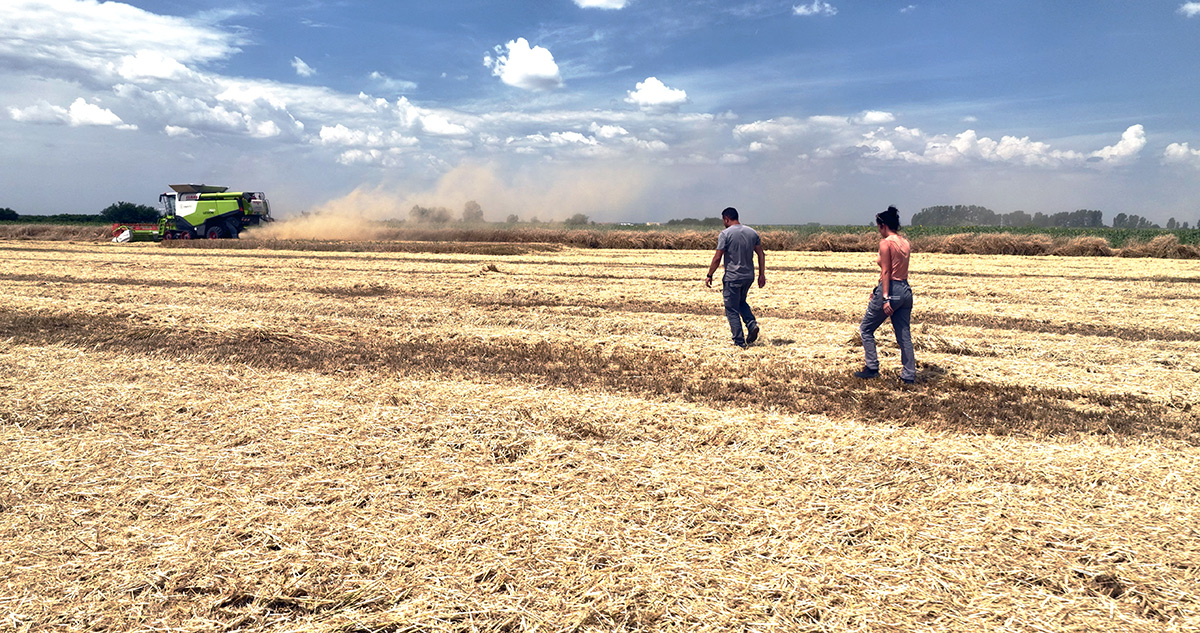 Climate change and agriculture 1