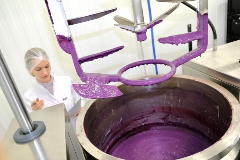 The Blueberry Discovery: Crafting the New Flavor for our Meal in a Bottle