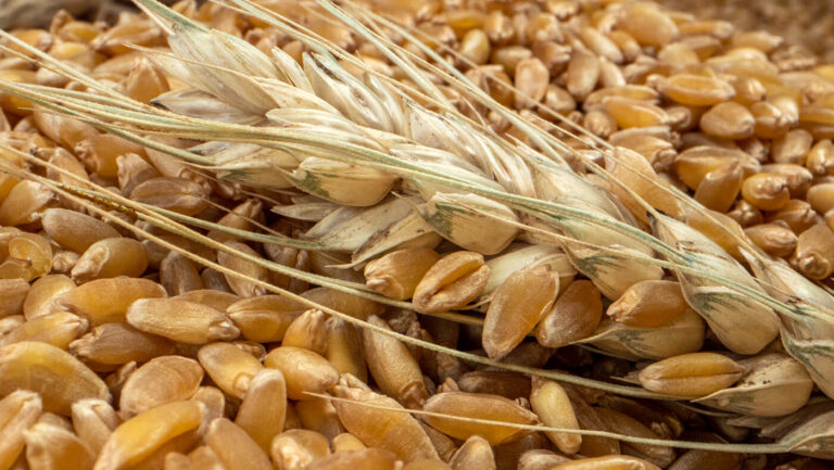 Organic crop storage – the fight continues