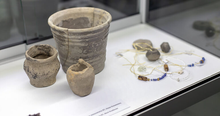 Unearthing History: From Excavations to Exhibition