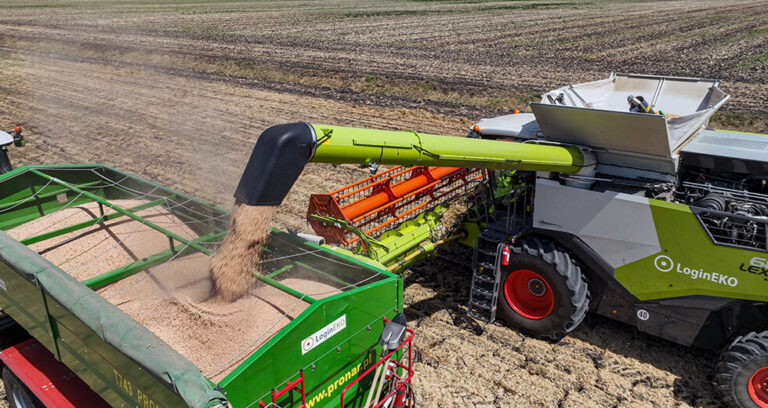 Harvest Update: Successful Second Phase and Upcoming Plans