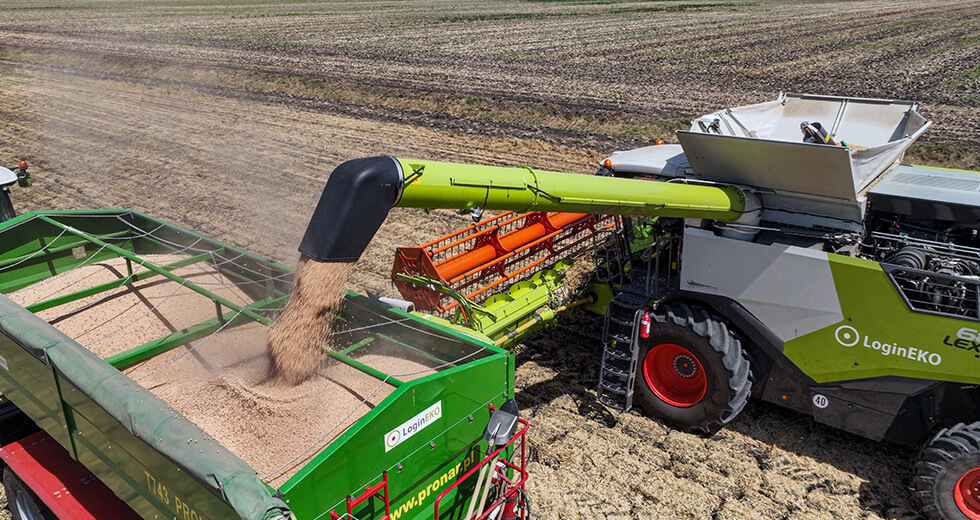 Harvest Update: Successful Second Phase and Upcoming Plans