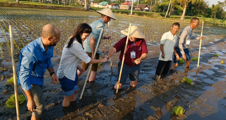 Insights From Lighthouse Farms Annual Meeting