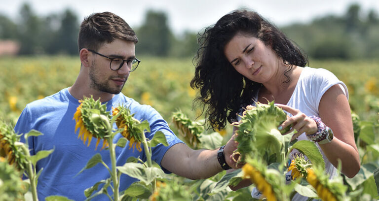 LoginEKO Advances Sustainable Farming with WUR Internships