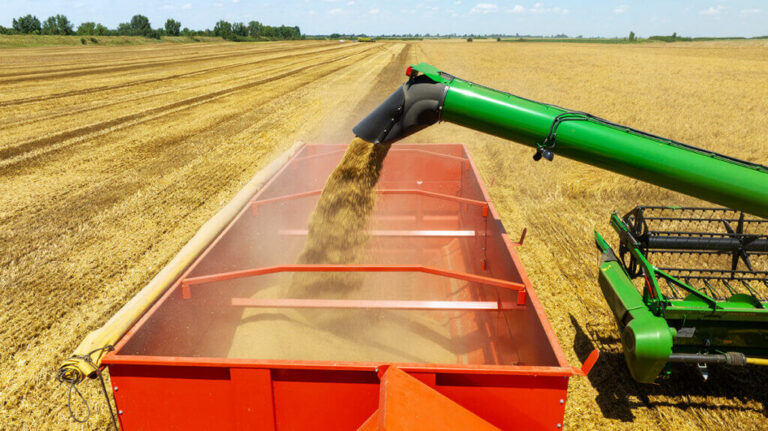 LoginEKO Renews EU Organic Certification