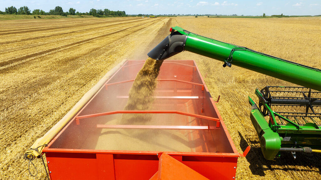 LoginEKO Renews EU Organic Certification