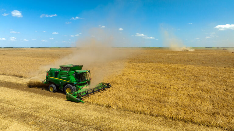 2024: A Pivotal Year for Europe’s Organic Market