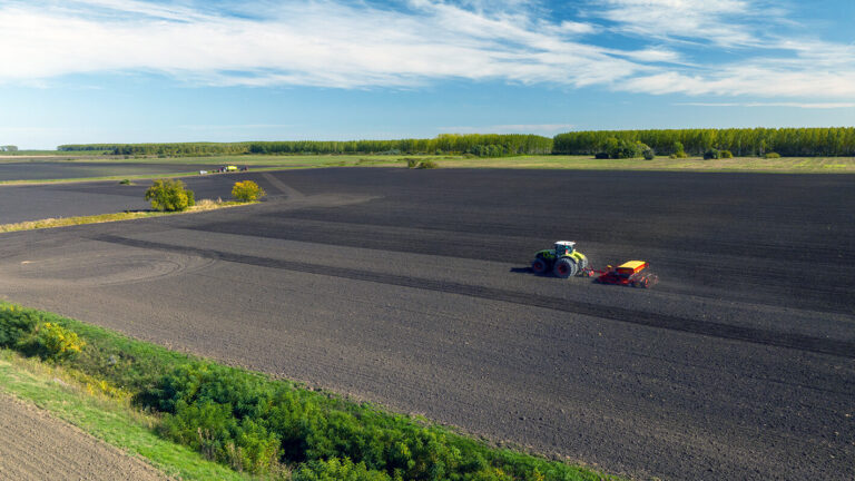 Livestock-Free Agriculture: Sustainable Farming Practices for the Future