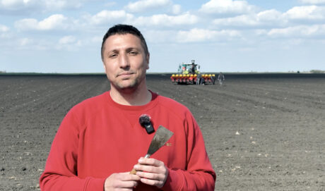 preparing for chickpea sowing
