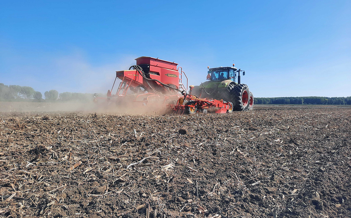 sowing winter flax