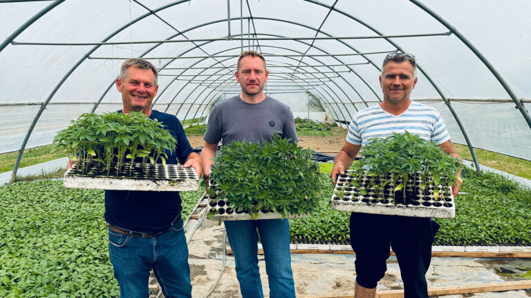We Went Looking for Hemp Wisdom. Here’s What We Found