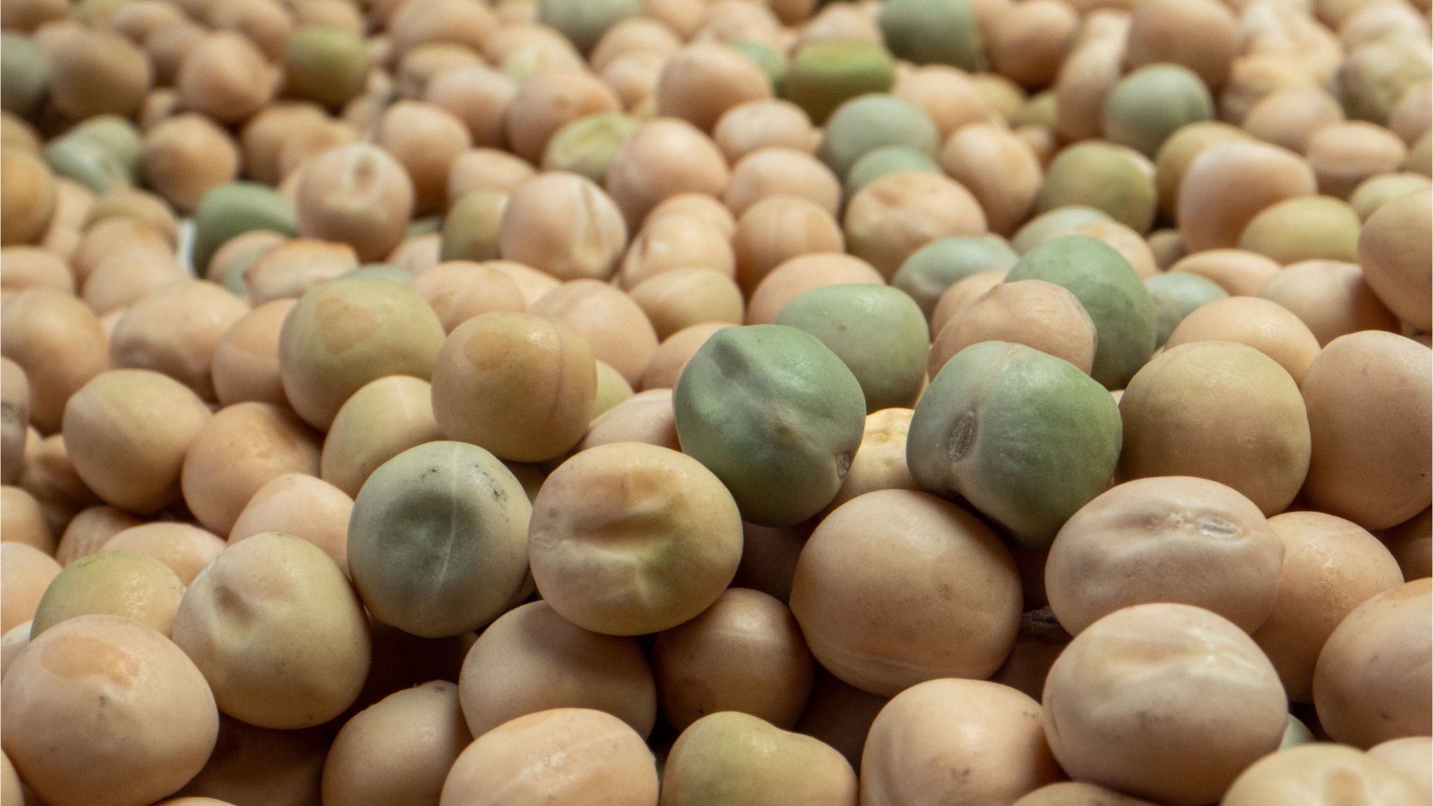 logineko organic peas