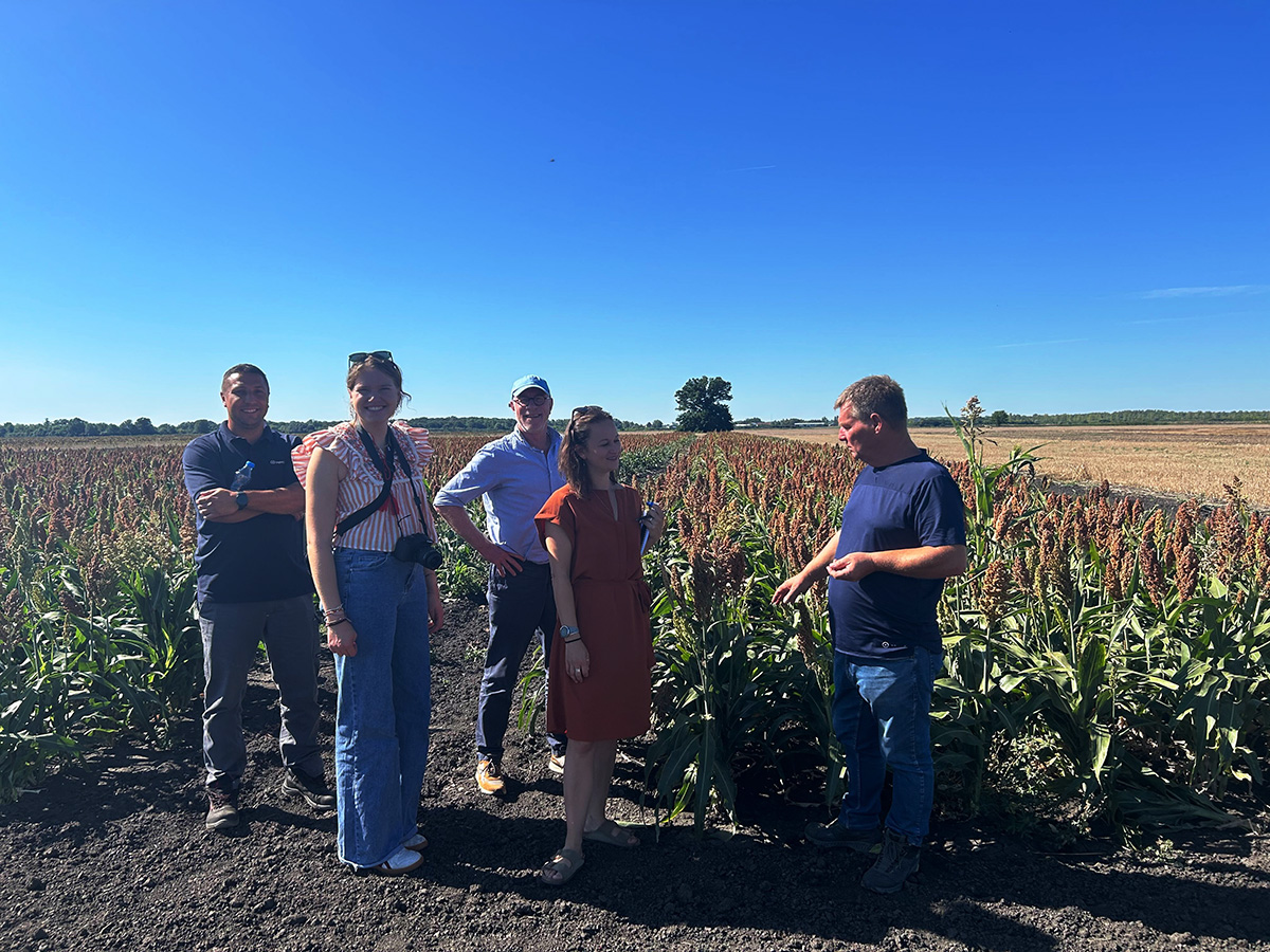 lighthouse farm academy sorghum